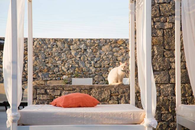 Aeolos Hotel, Mykonos