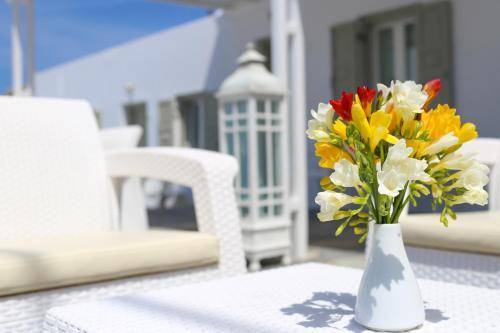 Damianos Mykonos Hotel, Mykonos
